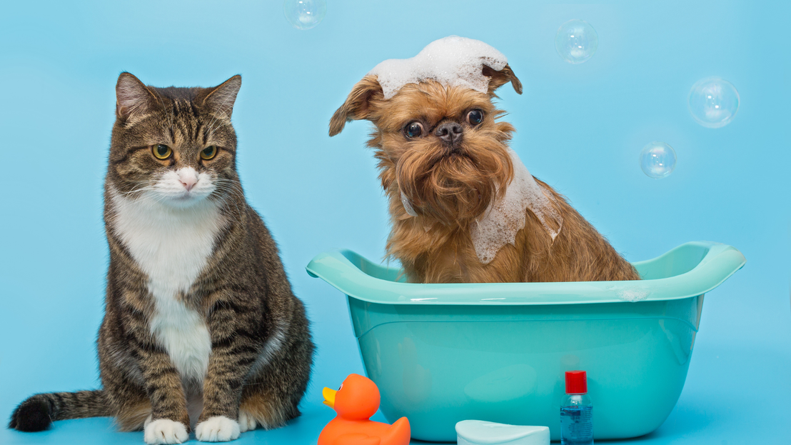 Productos de higiene y peluquería para mascotas