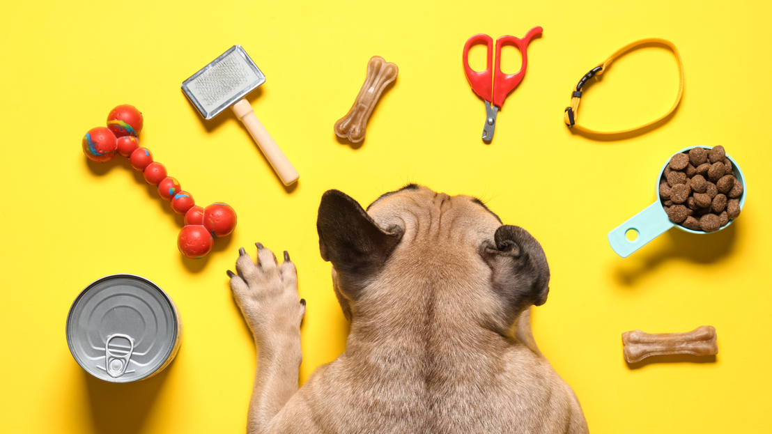 Selección de accesorios para mascotas