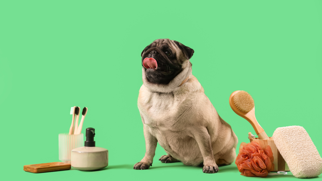 Productos de higiene y peluquería para mascotas