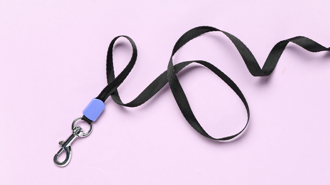 Accesorios básicos para mascotas