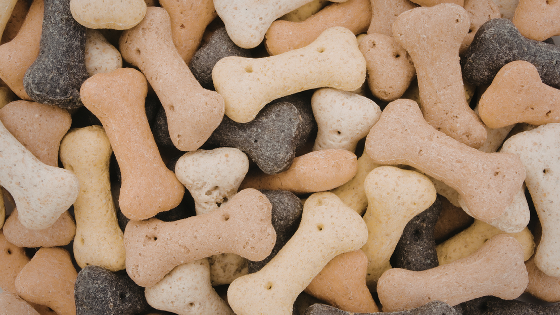 Multipacks de comida para mascotas en oferta