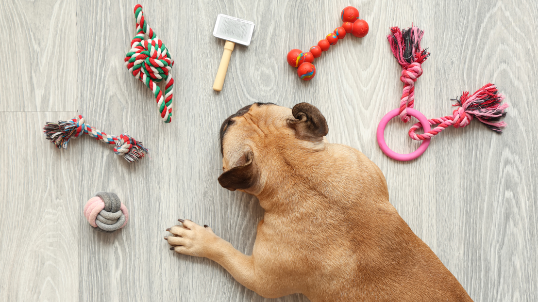 Accesorios para mascotas