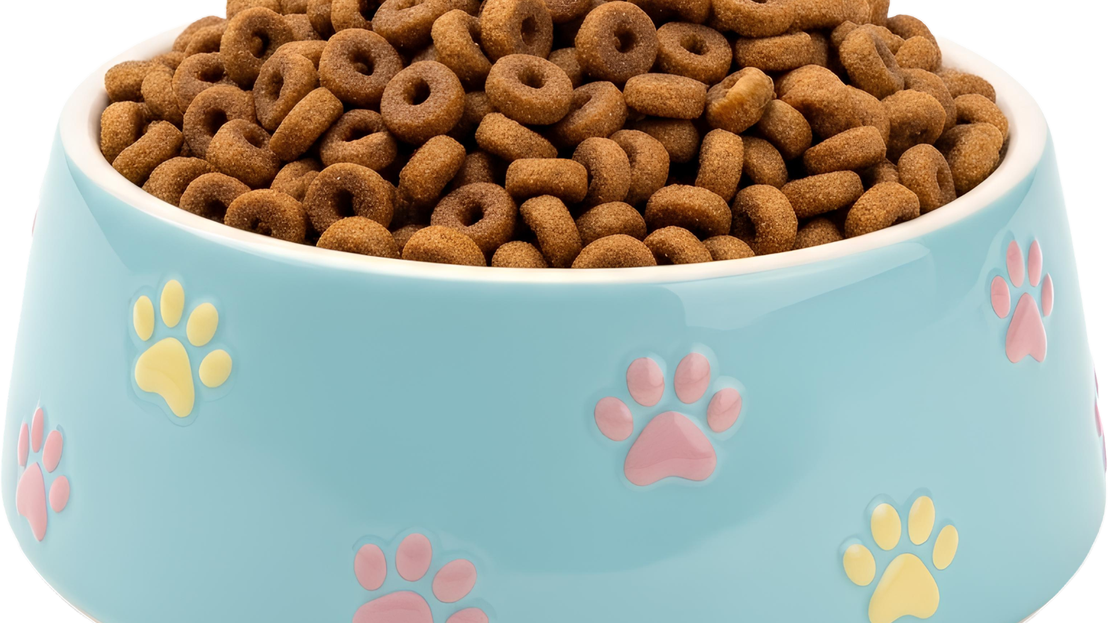 Comederos y fuente de agua para mascotas