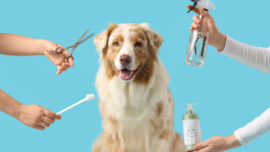 Productos de higiene para mascotas