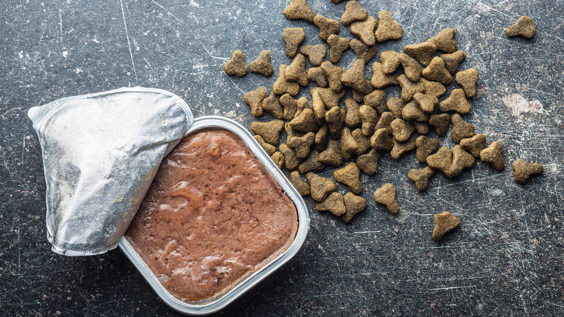 Plato de comida natural para perros